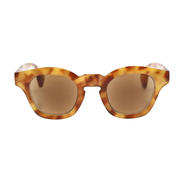 Ryan Simkhai Eyeshop KENNA Sun Readers Light Tortoise